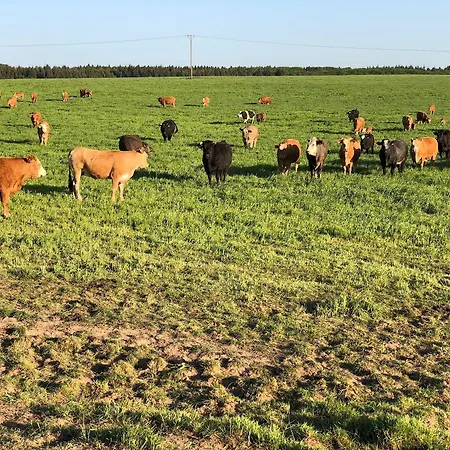酒店 联邦银行地堡复古酒店 科赫姆