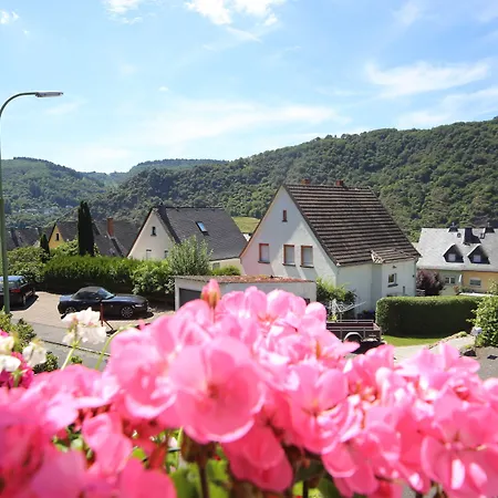 Vintage Am Bundesbank-bunker 3* Cochem
