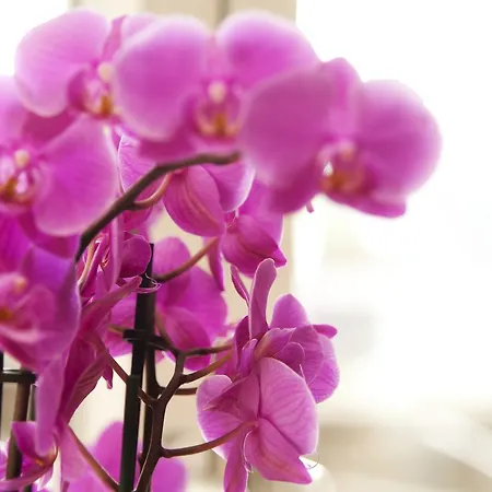 Vintage Am Bundesbank-bunker Отель Клоттен