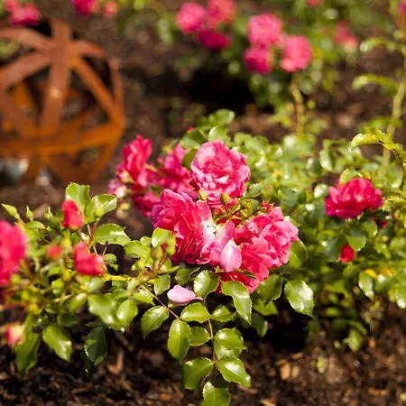 Vintage Am Bundesbank-bunker Hotel Cochem