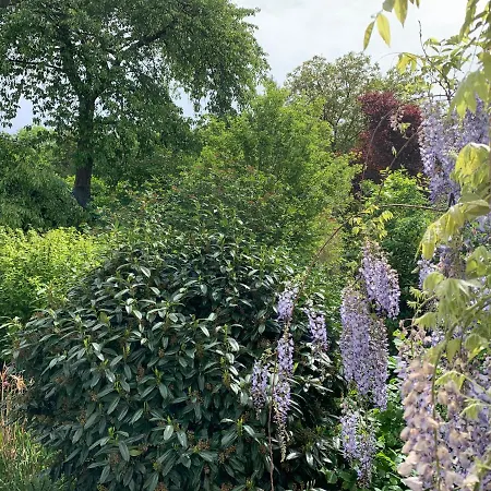 Vintage Am Bundesbank-bunker Отель Клоттен