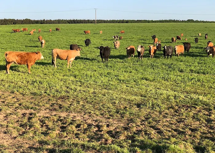 Hotel Vintage Am Bundesbank-bunker Cochem