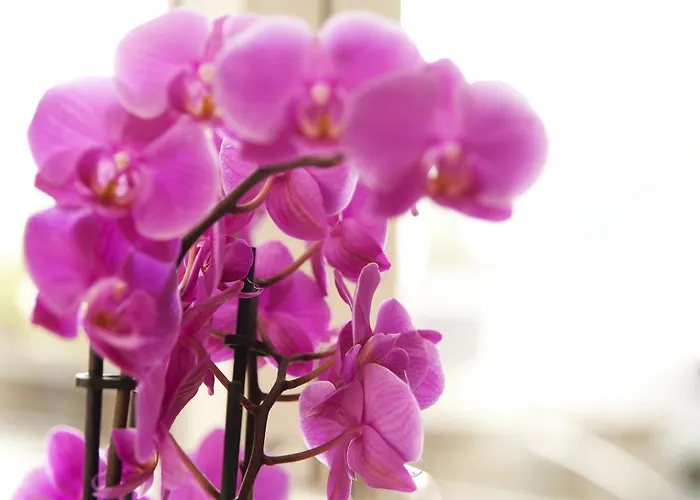 Vintage Am Bundesbank-bunker Hotell Cochem