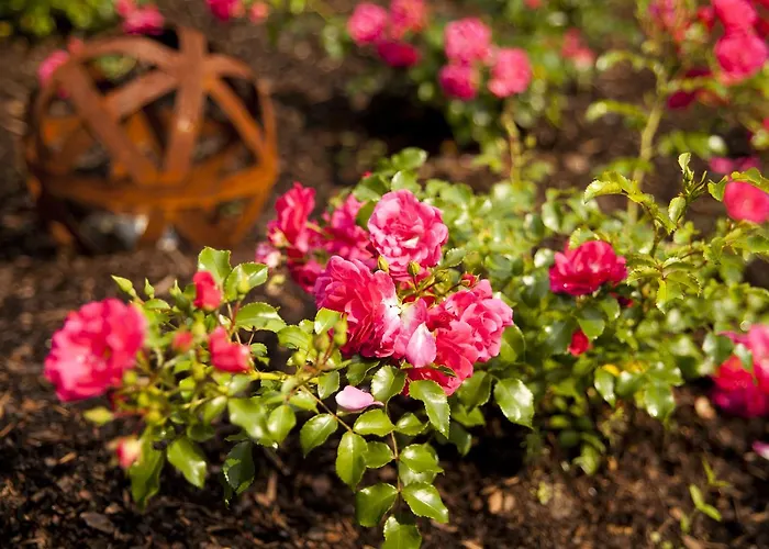 Vintage Am Bundesbank-bunker מלון קוכם