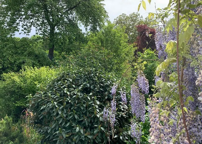 Vintage Am Bundesbank-bunker Hotel Cochem